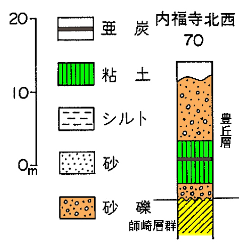 南知多町の豊丘層と師崎層群内海層 | nagogeoblog